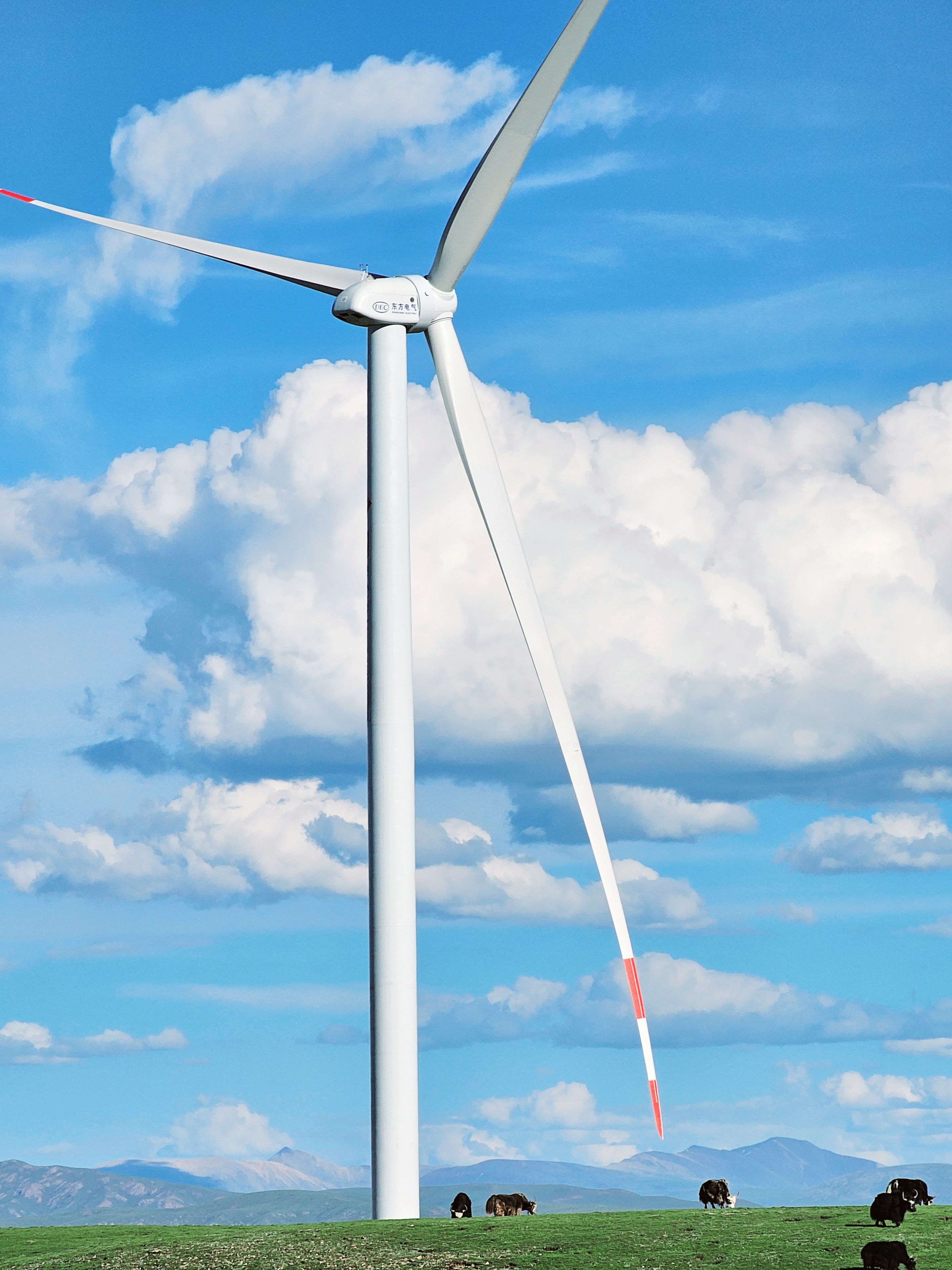 1698894070011045202.jpg ¿Ê±|AG(AsiaGaming)ÓÅÖÊÔËÓªÉÌ