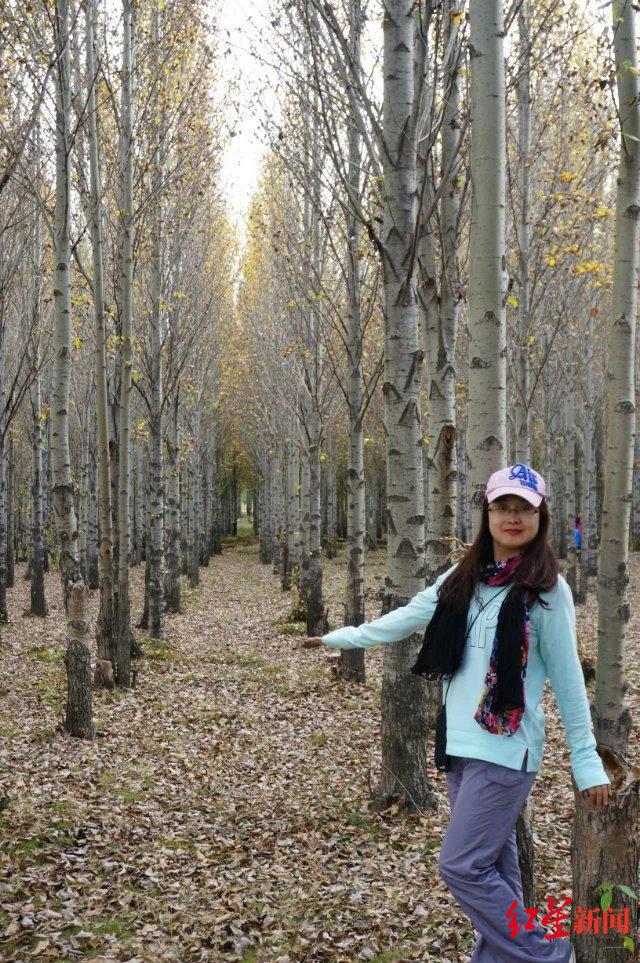 ��ɶ�����δ�� | �ɶ���������ҵ��Ȧǿ���˲����롱��ѡ�߶��ȣ�12���ᴺ��ͬ���ǡ�����