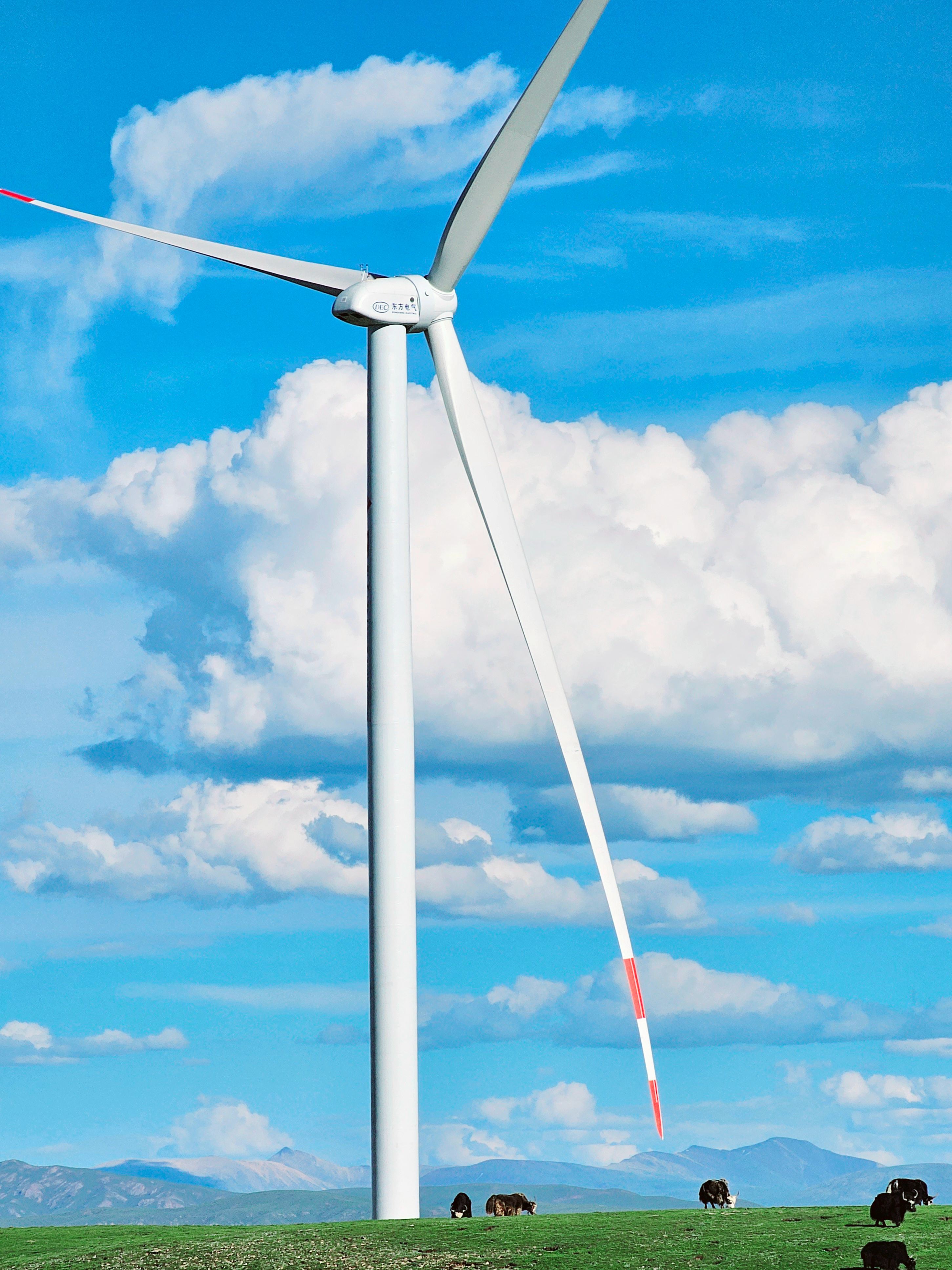 ��ʱ|AG(AsiaGaming)������Ӫ��