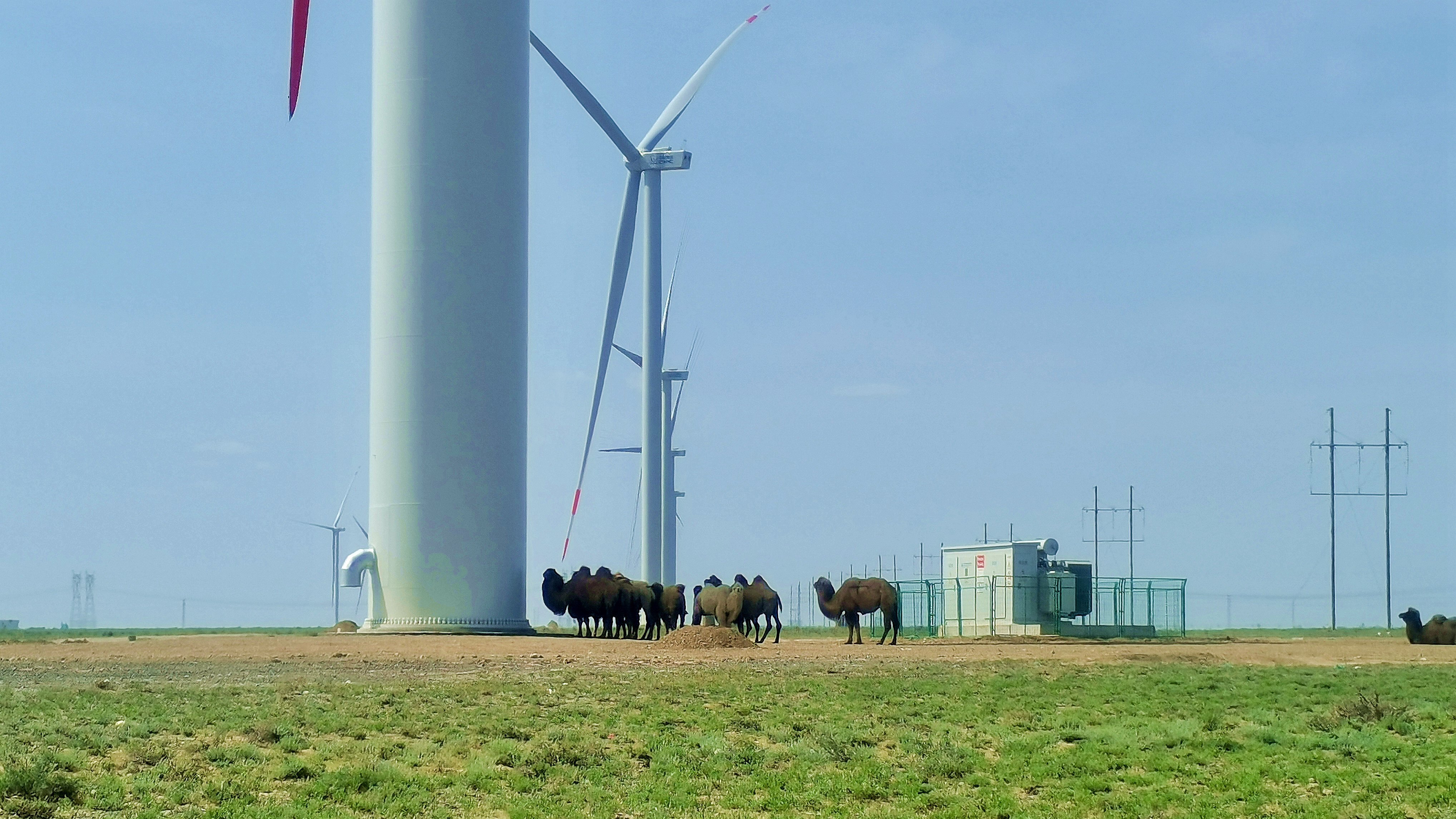 ��ʱ|AG(AsiaGaming)������Ӫ��