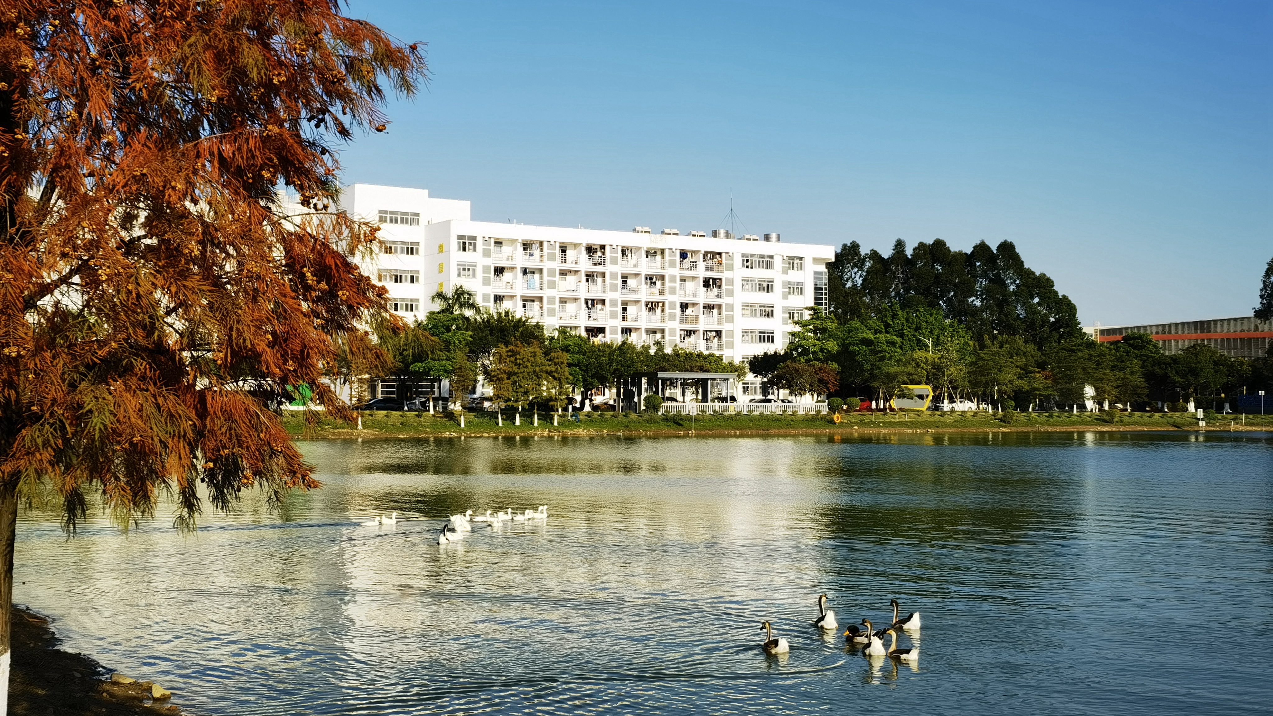 ��ʱ|AG(AsiaGaming)������Ӫ��